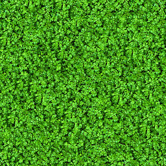 Image showing Green Meadow Grass. Seamless Texture.