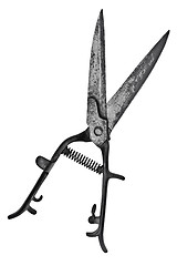 Image showing vintage hedge shears