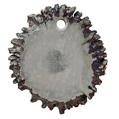 Image showing antler medallion