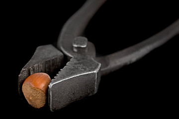 Image showing vintage pliers sqeeze a hazelnut