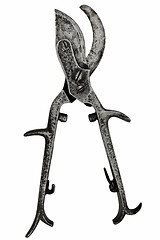 Image showing vintage pruning shears