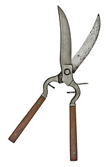 Image showing vintage poultry shears