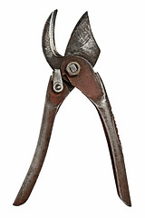 Image showing vintage pruning shears