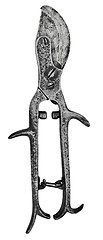 Image showing vintage pruning shears