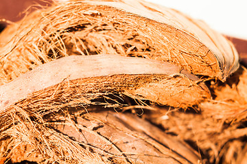 Image showing Coconut fiber 