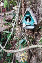 Image showing Wooden bird house and yellow wild orchid