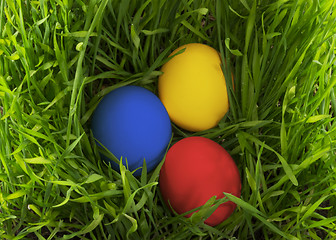 Image showing Easter eggs in the grass.