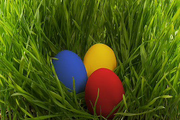 Image showing Easter eggs in the grass.