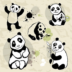 Image showing Pandas set.