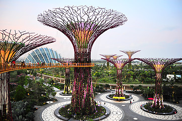 Image showing Gardens by the Bay at dusk