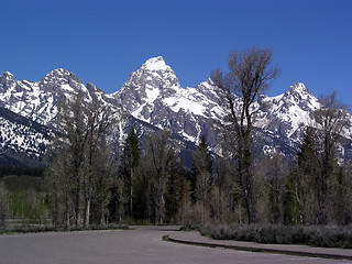 Image showing Grand Tetons