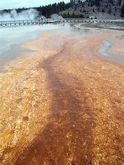 Image showing Hot Geyser