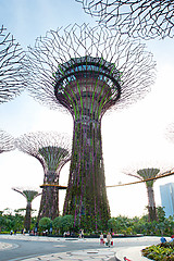 Image showing Gardens by the Bay