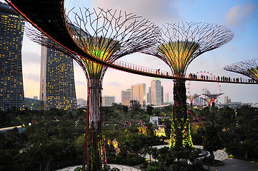 Image showing  Gardens by the Bay