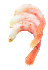 Image showing shrimps