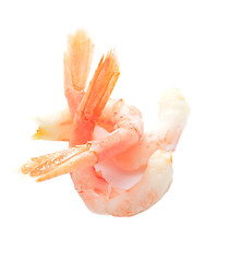 Image showing shrimps