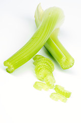 Image showing Celery