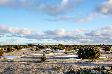 Image showing Springtime morning