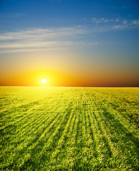 Image showing sunset over field with green grass