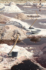 Image showing salt mining in India