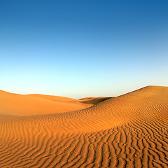 Image showing evening desert landscape