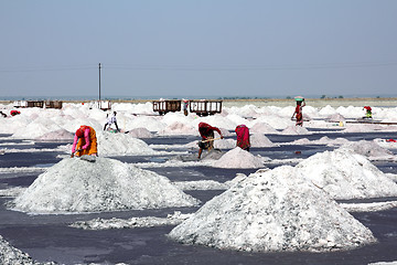 Image showing salt mining in India