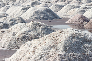 Image showing salt mining in India