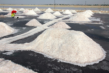 Image showing salt mining in India