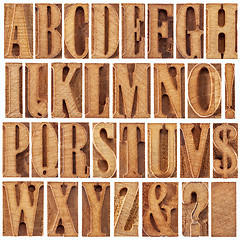 Image showing letterpress wood type alphabet