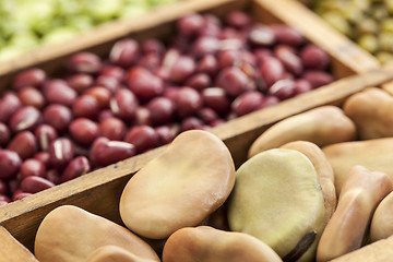 Image showing fava (broad) beans