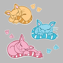 Image showing Cute kittens sleeping