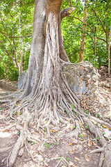 Image showing Gede Ruins