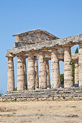 Image showing Paestum temple - Italy