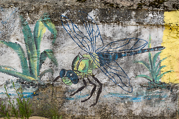 Image showing colorful damselfly dragon-fly painted grunge wall 