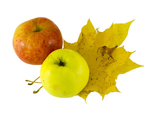 Image showing yellow pink apple lying next yellow maple leaves  