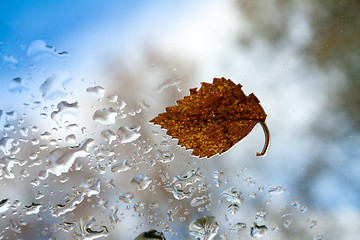 Image showing Autumn sheet.