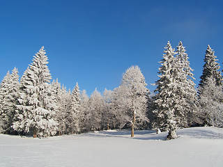 Image showing Jura Mountain in Winter, mont d or area