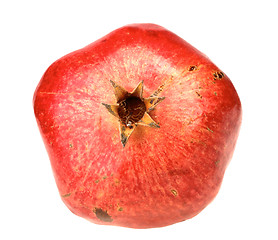 Image showing One fresh red pomegranate