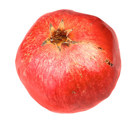 Image showing Single fresh red pomegranate