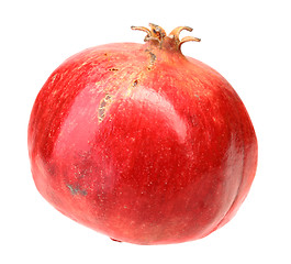 Image showing Full fresh red pomegranate
