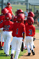 Image showing Group of little league baseball players