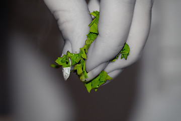 Image showing Adding spices