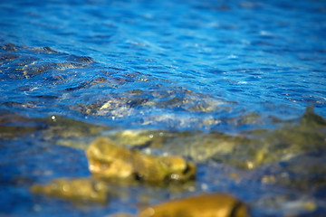 Image showing Water