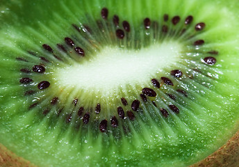 Image showing Kiwi