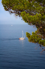 Image showing Sail boat