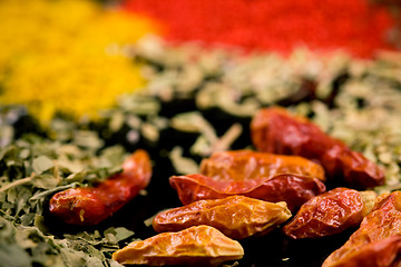 Image showing Close up of various mixed spices