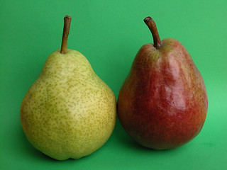 Image showing pears