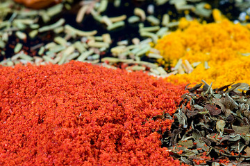 Image showing Spices