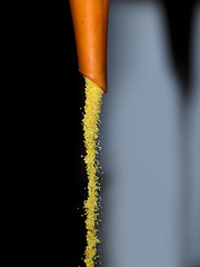 Image showing Dry spices mix