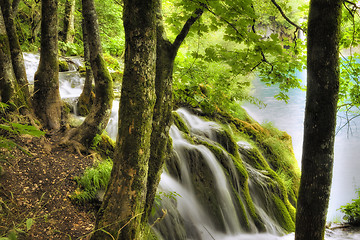 Image showing Waterfall